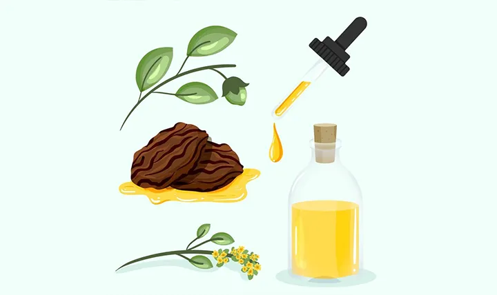 Illustration of jojoba oil with seeds, plant branches, and a dropper.